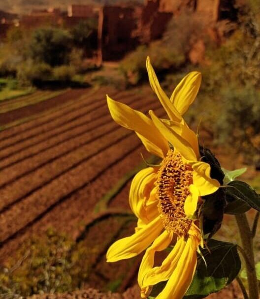 6c85c83b e8eb 4f5f a1ac a31e5cf01cf3 e1770337819275