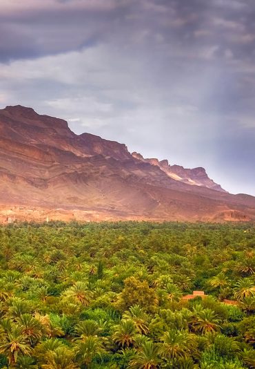 Panoramic view of beautiful Draa Valley in Morocco